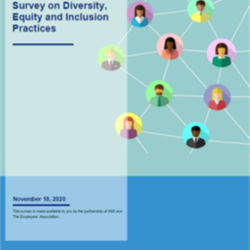 2020 Diversity, Equity and Inclusion Practices Survey Report